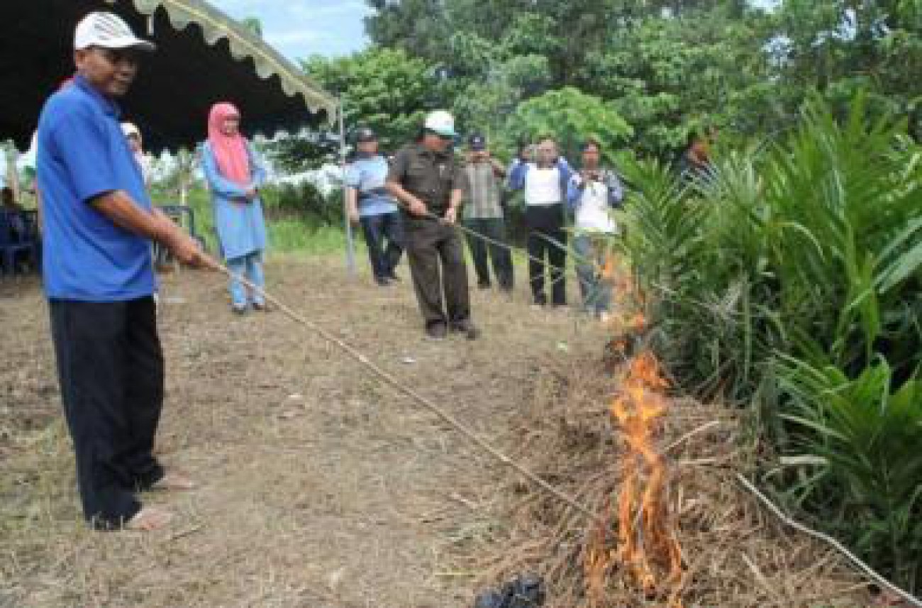 Tahun 2013, Terjadi Dua Kasus Benih Palsu